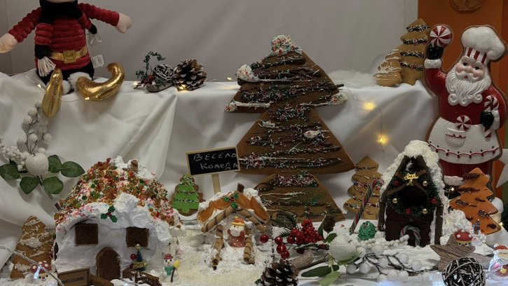 Представителна изява на учениците от клуб „Занимания по интереси“ – професионална паралелка