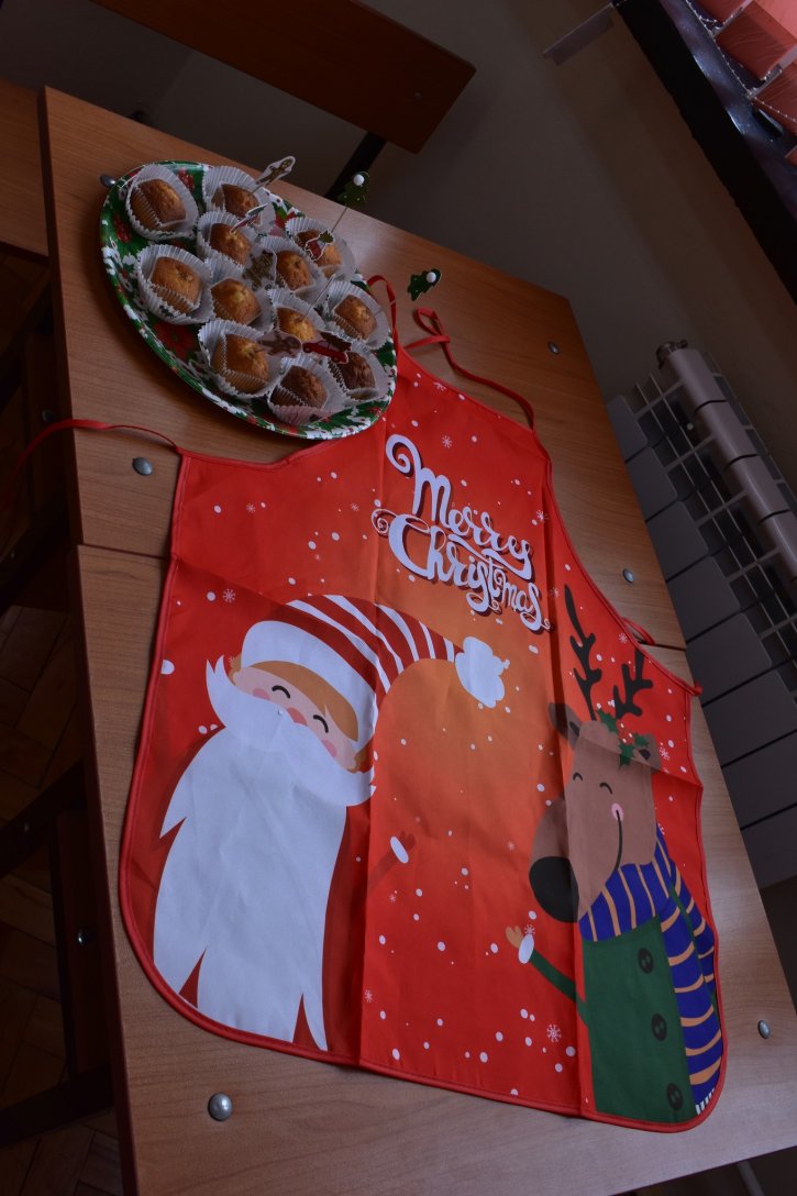 Коледна украса в ОбУ „Св. св. Кирил и Методий“, гр. Димитровград