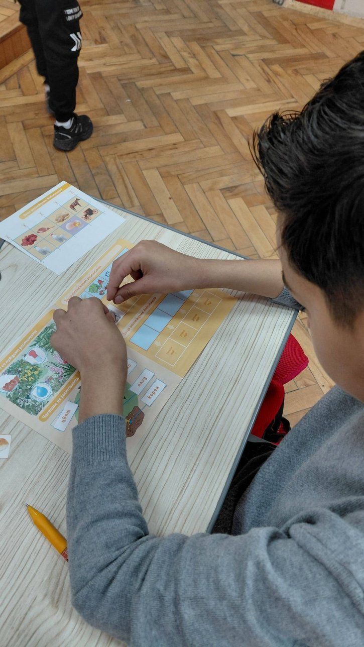 Урок по родинознание на тема: Растенията и животните около нас.