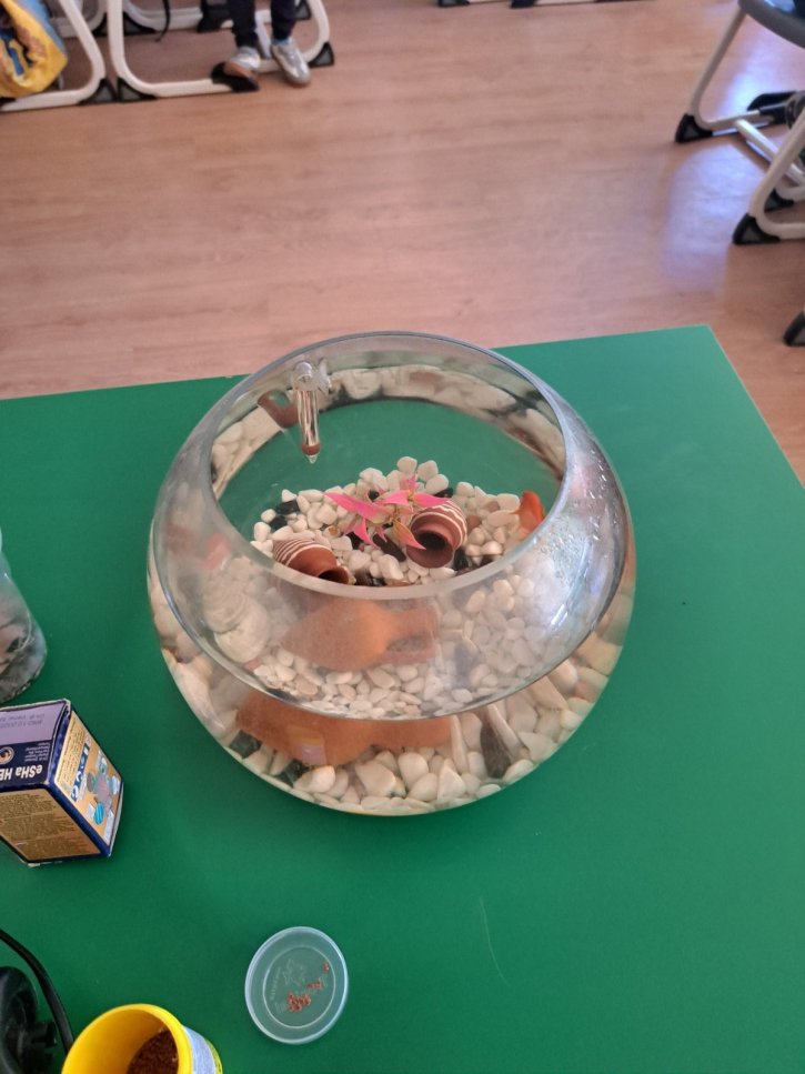 Обмен на добри практики по НП „Иновации в действие“ в ОбУ „Св. св. Кирил и Методий“ – с. Ръжена.