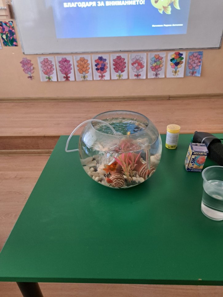 Обмен на добри практики по НП „Иновации в действие“ в ОбУ „Св. св. Кирил и Методий“ – с. Ръжена.