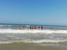 НП