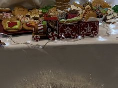 Представителна изява на учениците от клуб „Занимания по интереси“ – професионална паралелка