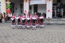 Участие в Регионален празник 