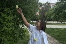 Великденско състезание