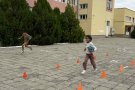 Европейски ден на спорта