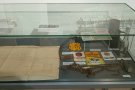 Ученици посетиха изложбата „Батак 1876 г. – хроника на една безсмъртна пролет“ в Исторически музей – Димитровград.