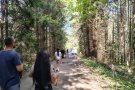 От планинските пътеки до щраусовата ферма – едно вълнуващо пътешествие.