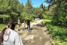 От планинските пътеки до щраусовата ферма – едно вълнуващо пътешествие.