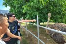 От планинските пътеки до щраусовата ферма – едно вълнуващо пътешествие.