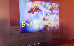 Пролет иде